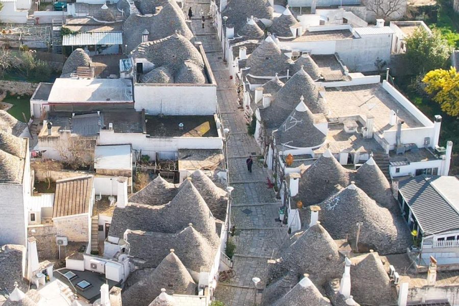 Wycieczka z Brindisi do Alberobello i Polignano a Mare z polskim przewodnikiem i transportem